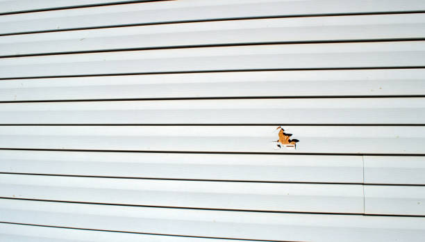 Best Custom Trim and Detailing for Siding  in Laurel Park, NC