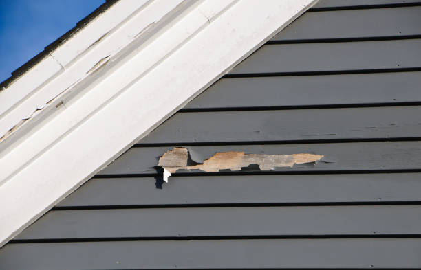 Best Storm Damage Siding Repair  in Laurel Park, NC